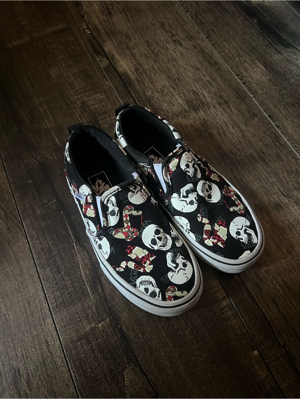 Vans Kids Slip-On Shoes in Black with Skull Print